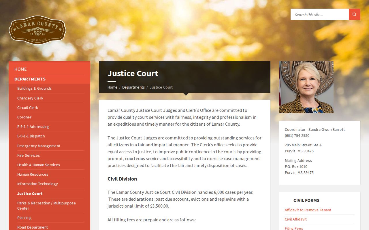Lamar County booking record court disposition source